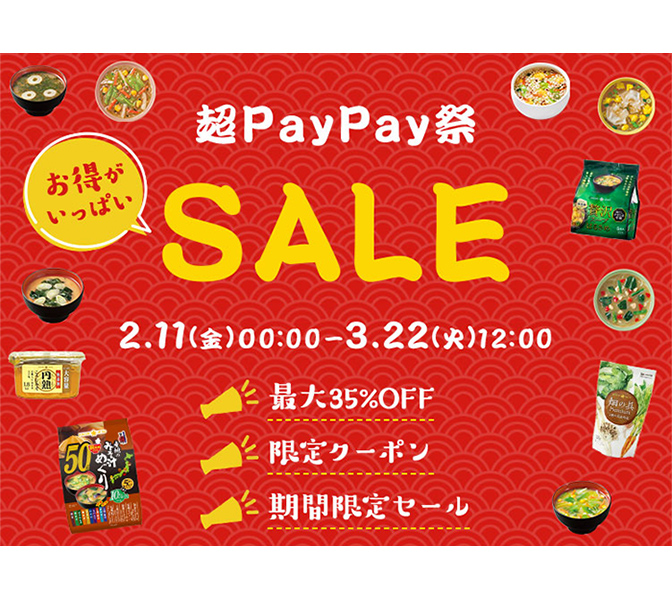 paypaysale Banner